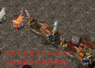 如何快速提升在Asa热血传奇私服中的角色等级? 如何快速提升在Asa热血传奇私服中的角色等级?