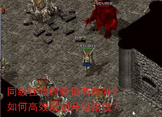 ͬ�����ﾭ��ֵ�в��죿��θ�Ч�滮����·�ߣ�