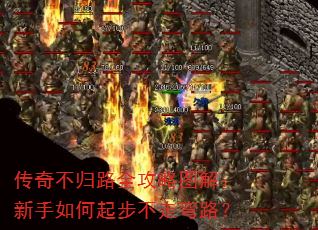 ���治��·ȫ����ͼ�⣺��������𲽲�����·��