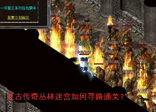 ���Ŵ�������Թ����Ѱ·ͨ�أ�