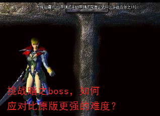 挑战暗之boss,如何应对比原版更强的难度? 挑战暗之boss,如何应对比原版更强的难度?