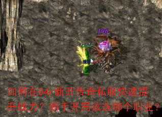 �����84r�¿�����˽����������ս�������ֿ��ָ�ѡ�ĸ�ְҵ��