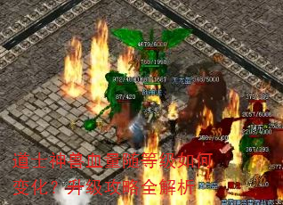��ʿ����Ѫ����ȼ���α仯����������ȫ����