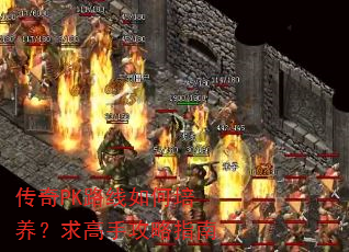 ����PK·���������������ֹ���ָ��