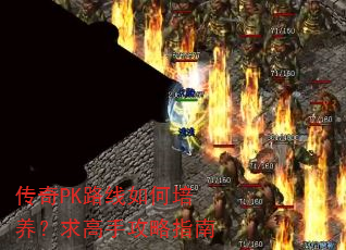 ����PK·���������������ֹ���ָ��
