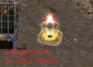 ����PK·���������������ֹ���ָ��