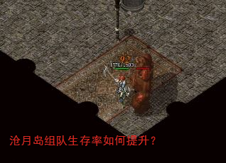 ���µ�������������������