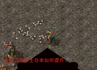���µ�������������������