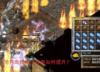 ���µ�������������������