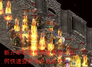 �¿���ְҵ���淢��������ο���������ɫս������