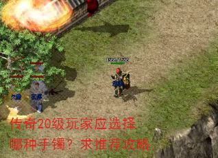����20�����Ӧѡ���������������Ƽ�����
