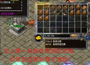 ʷ�ϵ�һ˽��������Ϸ���ԣ�����������Щ�������⣿