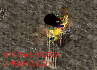 �߹��ʺ϶��ټ���������ڽ׶�������