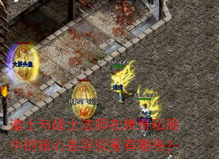 ��ʿ��սʿ��ʦ�ڴ���˽���еĺ��Ĳ��쾿������Щ��