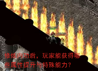 �����ڹ�������ܻ����Щ��������������������