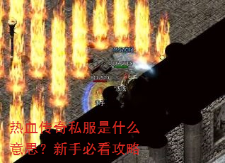 ��Ѫ����˽����ʲô��˼�����ֱؿ�����