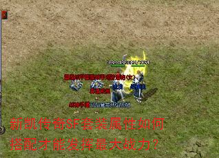 新凯传奇SF套装属性如何搭配才能发挥最大战力? 新凯传奇SF套装属性如何搭配才能发挥最大战力?