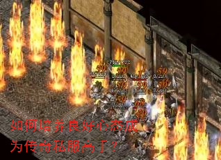�������������̬��Ϊ����˽�����֣�