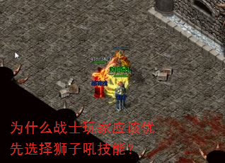 Ϊʲôսʿ���Ӧ������ѡ��ʨ�Ӻ��ܣ�