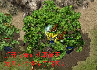 �¿�����sf��ȡ����ļ���;�����˽���