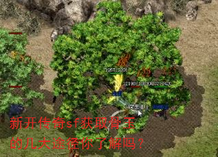 �¿�����sf��ȡ����ļ���;�����˽���