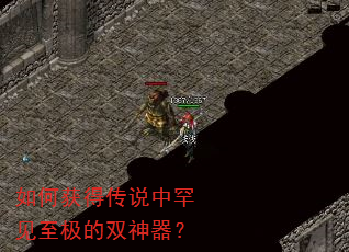 如何获得传说中罕见至极的双神器? 如何获得传说中罕见至极的双神器?