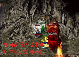如何获得传说中罕见至极的双神器? 如何获得传说中罕见至极的双神器?