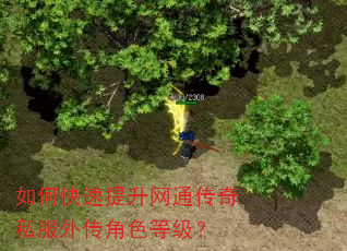 如何快速提升网通传奇私服外传角色等级? 如何快速提升网通传奇私服外传角色等级?