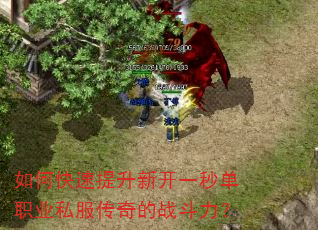 ��ο��������¿�һ�뵥ְҵ˽�������ս������