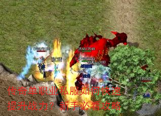 ���浥ְҵ˽����ο�������ս�������ֱؿ�����
