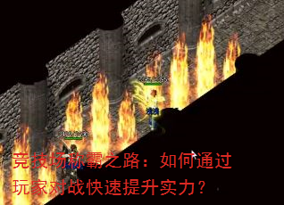 �������ư�֮·�����ͨ����Ҷ�ս��������ʵ����
