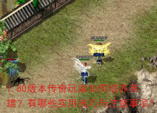 1.80�汾��������������Ӣ�ۣ�����Щʵ�ü�����ע�����