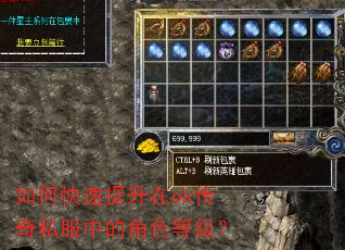 如何快速提升在ok传奇私服中的角色等级? 如何快速提升在ok传奇私服中的角色等级?