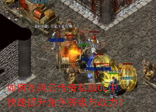 ����ڷ��ƴ���˽��OL�п���������ɫ�ȼ���ս����