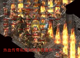 ��Ѫ����˽�����ʵ��ӯ����