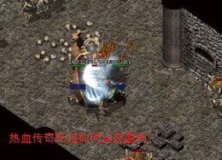 ��Ѫ����˽�����ʵ��ӯ����