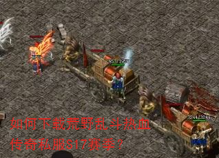 ������ػ�Ұ�Ҷ���Ѫ����˽��S17������