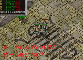 ������ػ�Ұ�Ҷ���Ѫ����˽��S17������