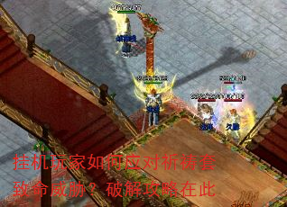 �һ�������Ӧ��������������в���ƽ⹥���ڴ�