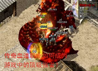 ����Ѫ��ְҵ��γ�Ϊ��Ϸ�еĶ���ǿ�ߣ�