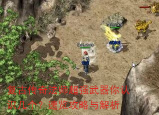 ���Ŵ��淨ʦ��ǿ��������ʶ�������������������