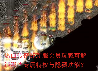 ��Ѫ����SF�·���Ա��ҿɽ�����Щר����Ȩ�����ع��ܣ�