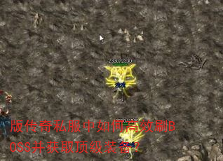 �洫��˽������θ�ЧˢBOSS����ȡ����װ����