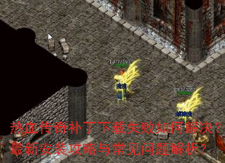 ��Ѫ���油������ʧ����ν�������°�װ�����볣�����������