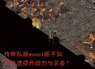 ����˽��woool������ο�������ս����װ����