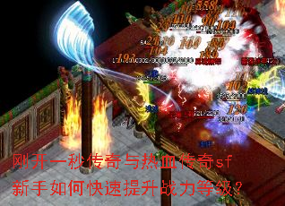 �տ�һ�봫������Ѫ����sf������ο�������ս���ȼ���