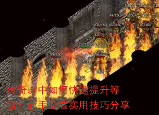 ����sf����ο��������ȼ������ֱؿ�ʵ�ü��ɷ���