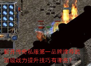 �¿�����˽����һƷ���Ƽ��Ķ���ս��������������Щ��