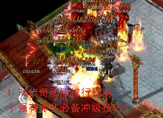 1.76����˽�����а�ǰʮǿ����Щ�ر��弶���ɣ�