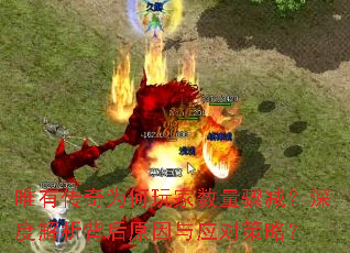 Ψ�д���Ϊ����������������Ƚ�������ԭ����Ӧ�Բ��ԣ�